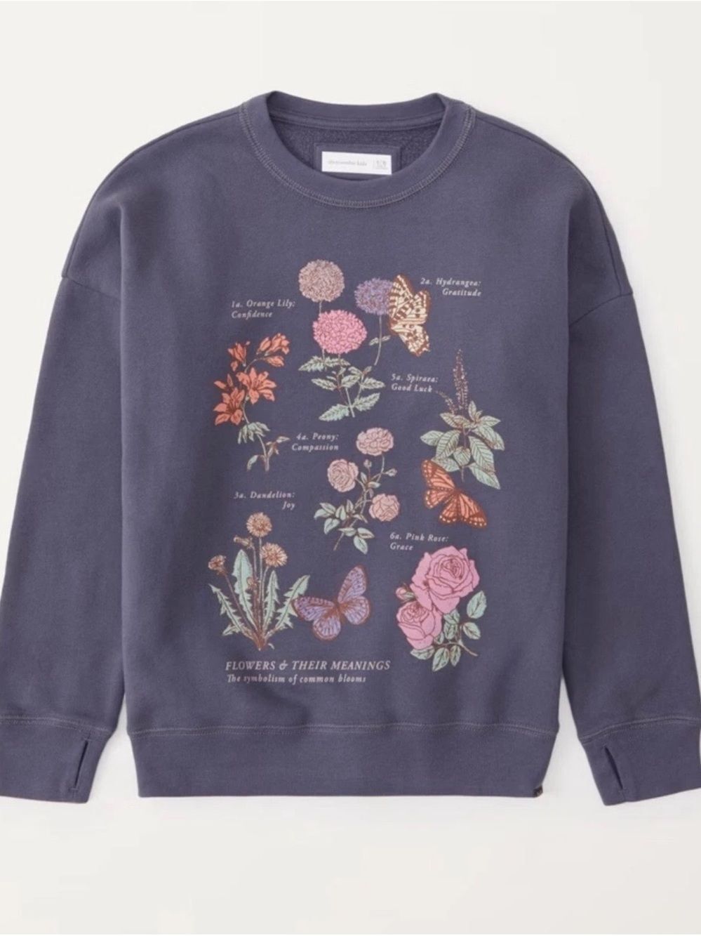 abercrombie kids Purple Floral & Butterfly Crewneck Sweatshirt